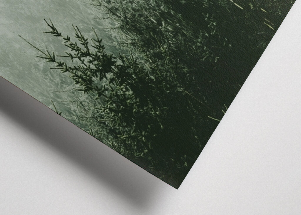 Mountain Forest Green