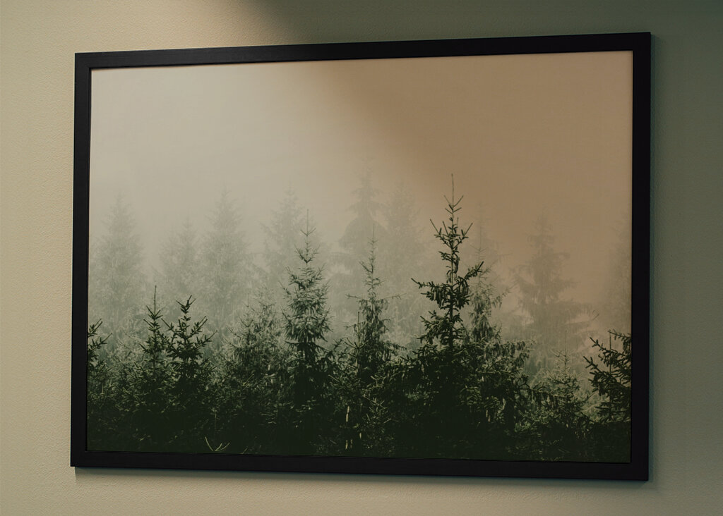 Mountain Forest Green