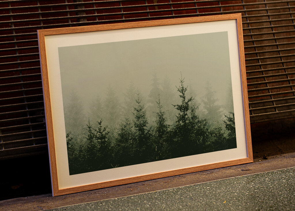 Mountain Forest Green