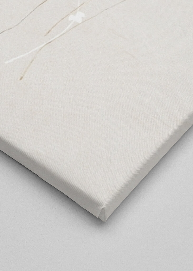 Ethereal Flowers With Subtle Hues