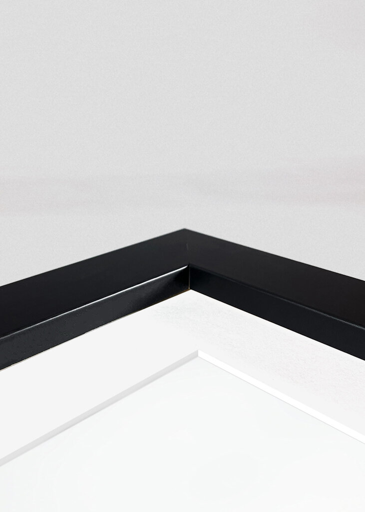 Fuzzy Highland Cattle