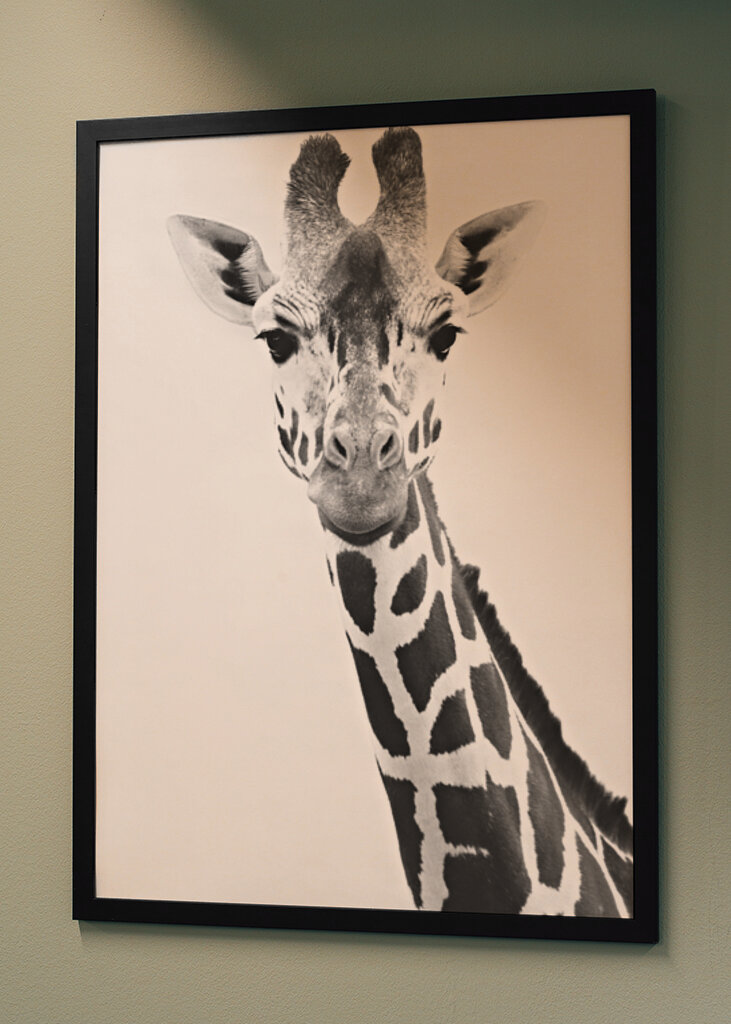 Giraffe Portrait