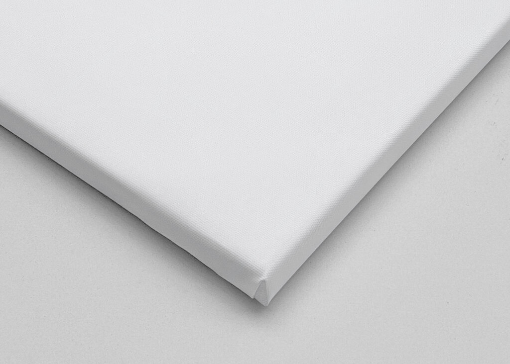 Highland Cows on White