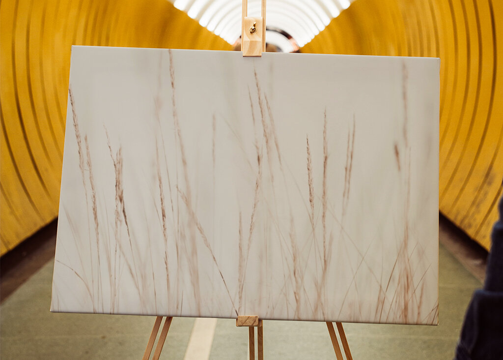 Whispers in the Wind