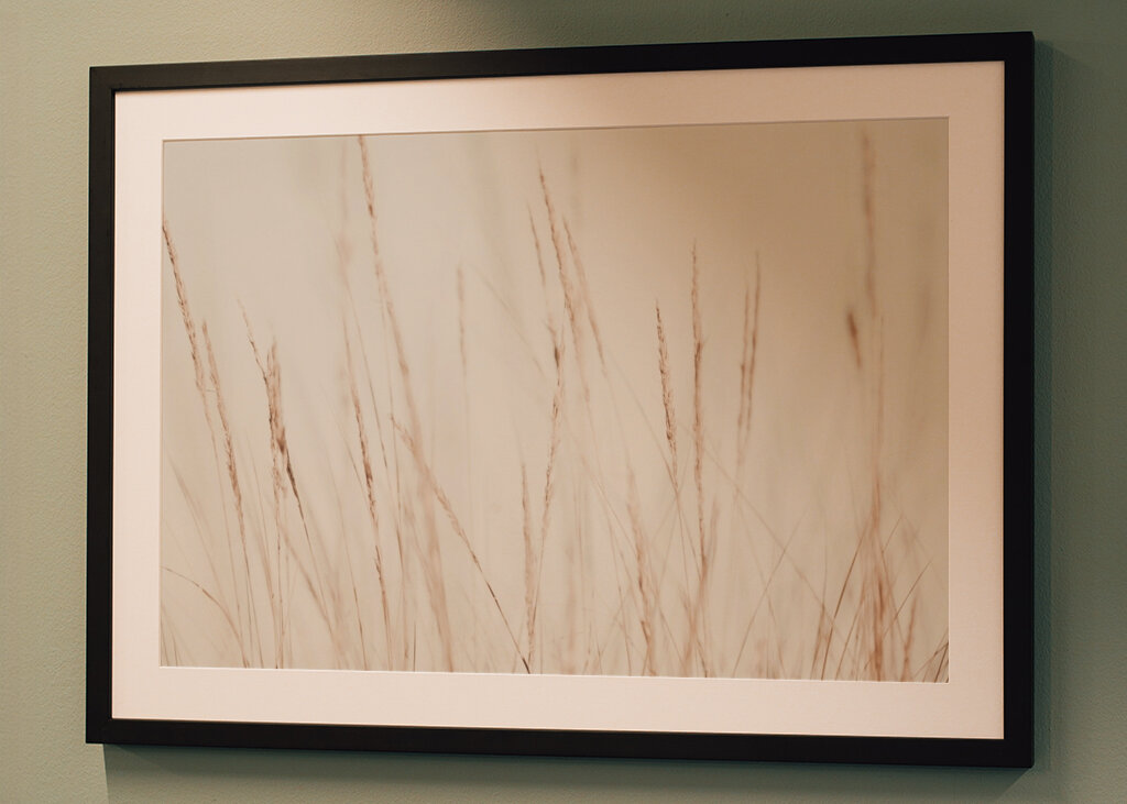 Whispers in the Wind