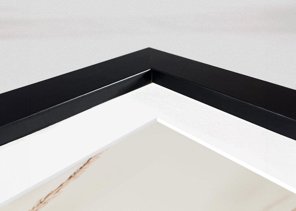 Whispers in the Wind