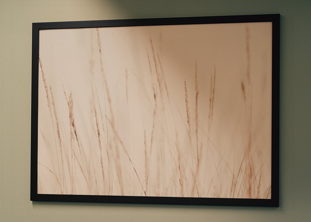 Whispers in the Wind