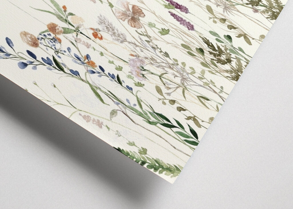 Wildflower Meadow Summer Creme