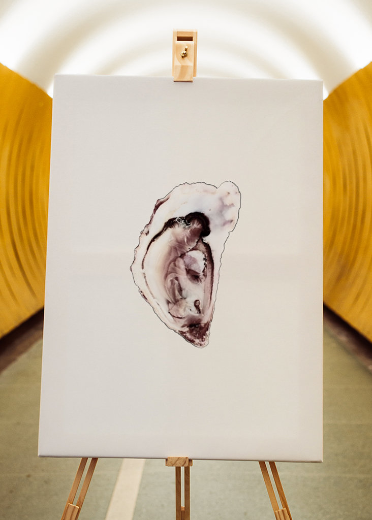 Austernsammlung Teil eins