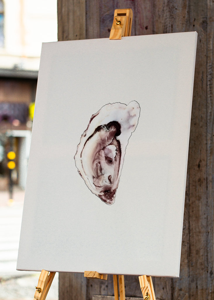 Austernsammlung Teil eins