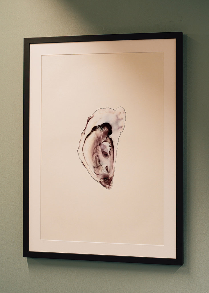 Austernsammlung Teil eins