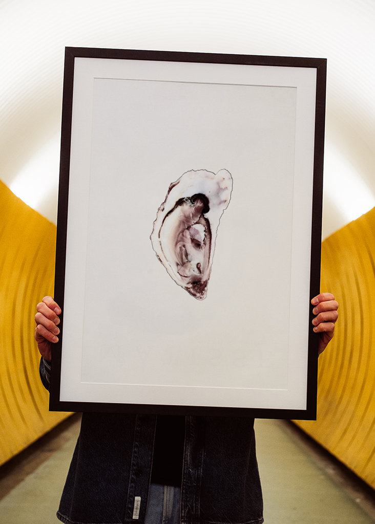 Austernsammlung Teil eins