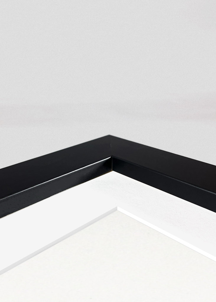 Austernsammlung Teil eins