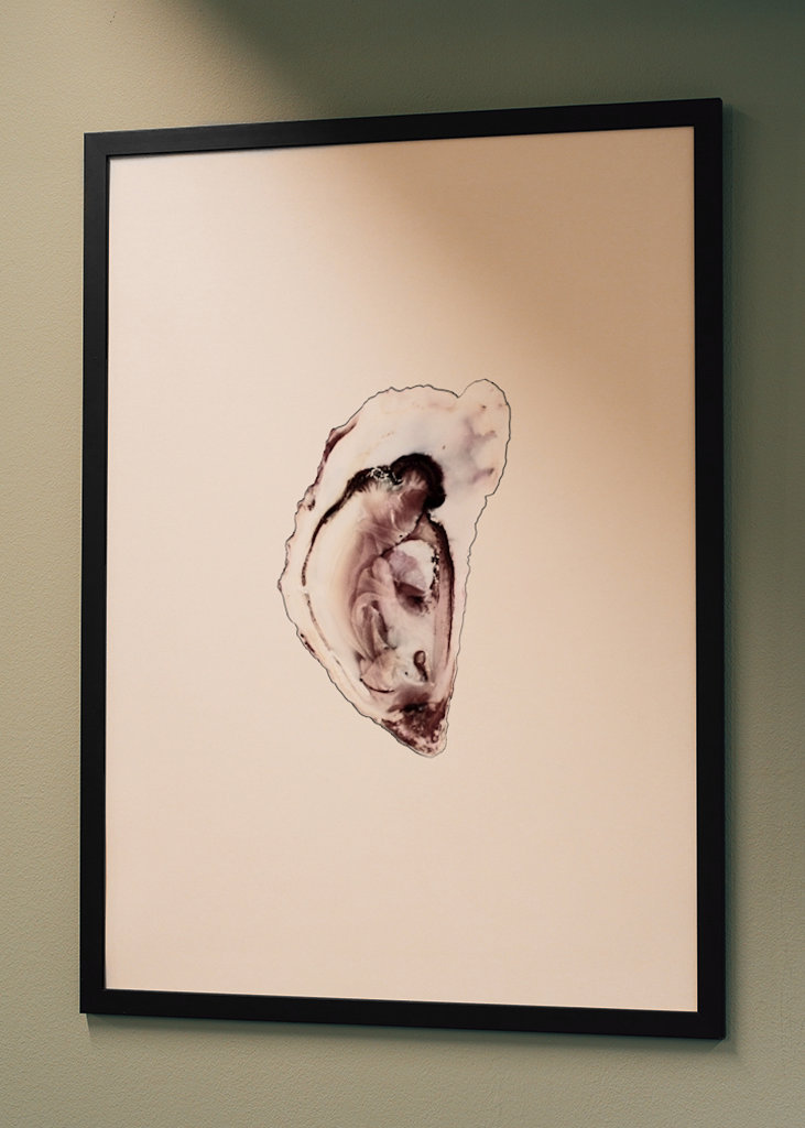 Austernsammlung Teil eins