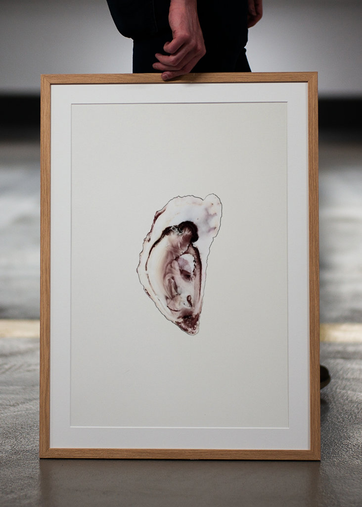 Austernsammlung Teil eins