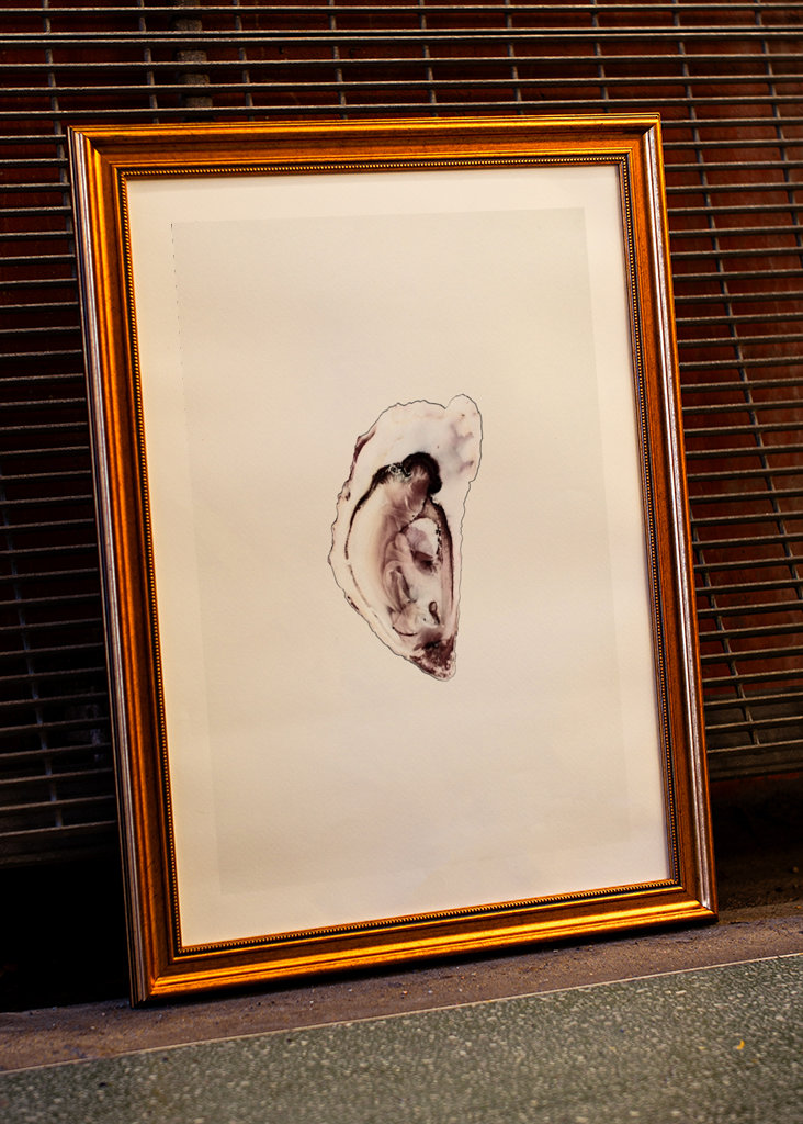 Austernsammlung Teil eins