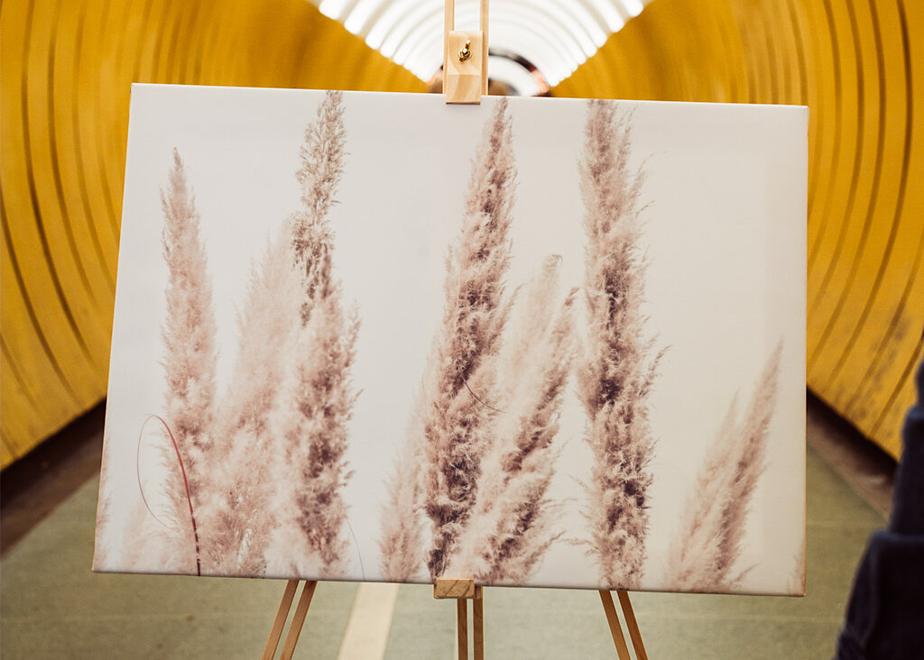 Wild Pampas Reed White