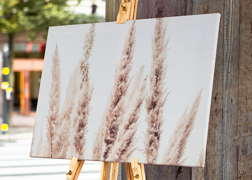 Wild Pampas Reed White
