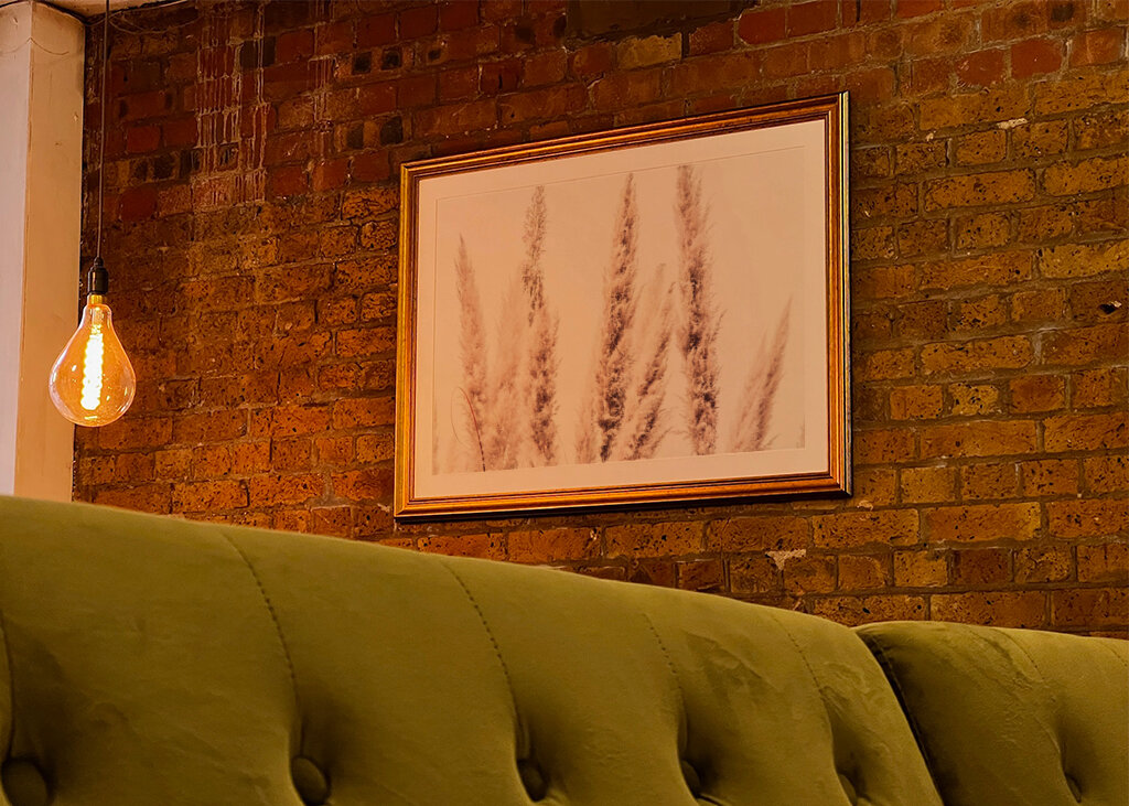 Wild Pampas Reed White