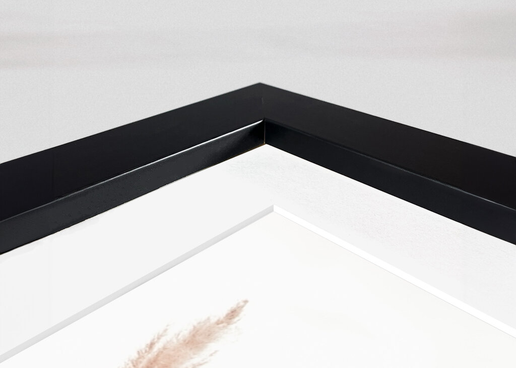 Wild Pampas Reed White