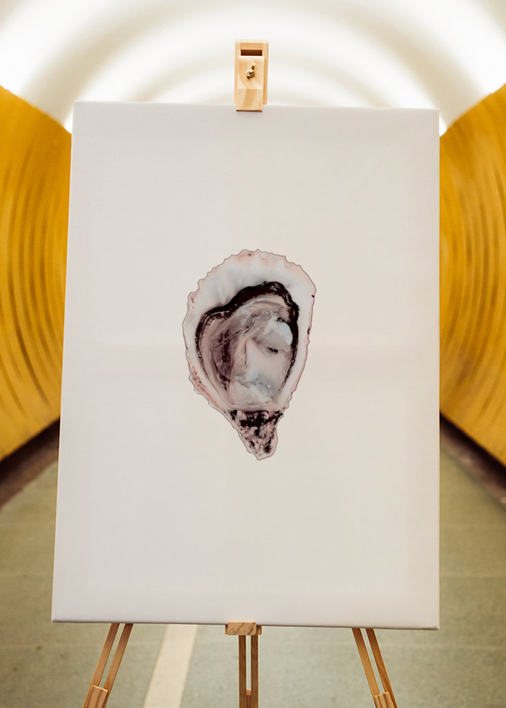 Oestercollectie deel twee