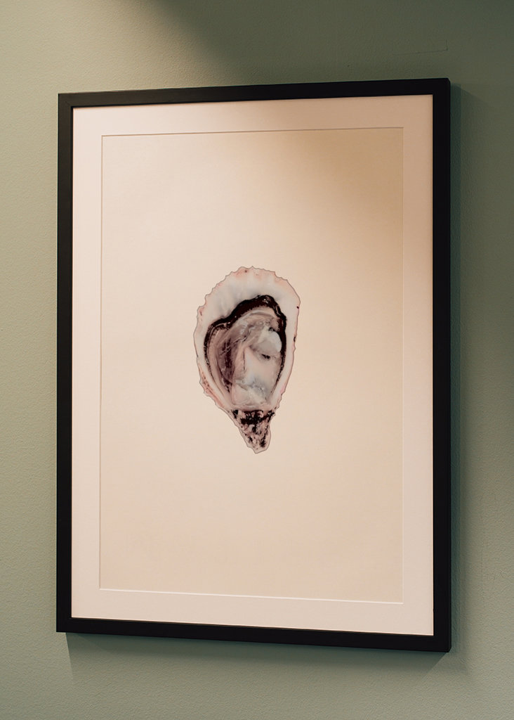 Oestercollectie deel twee