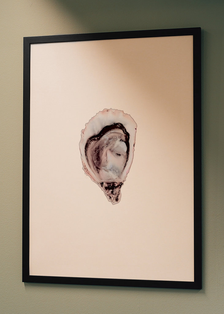 Oestercollectie deel twee