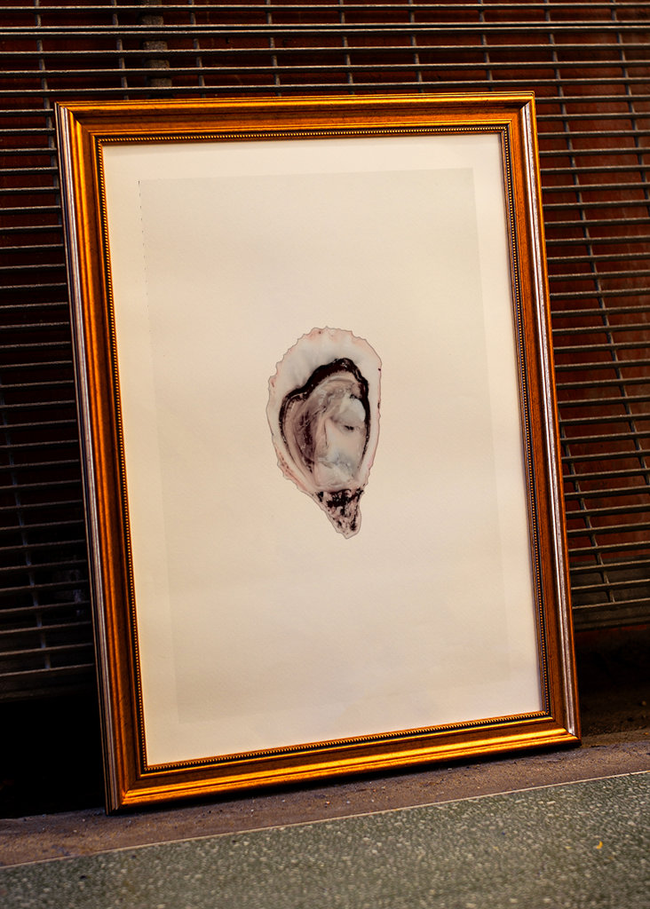 Oestercollectie deel twee