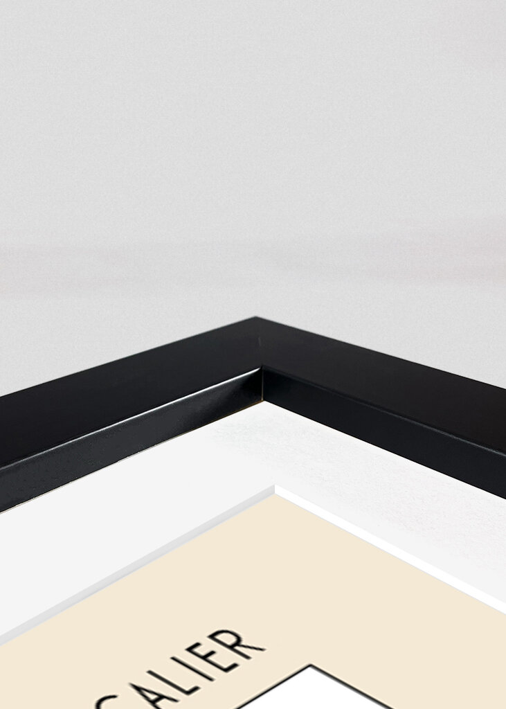 Ascii Art Minimalist – Portrait of Patience Escalier   Vincent Van Gogh – Classic Painting