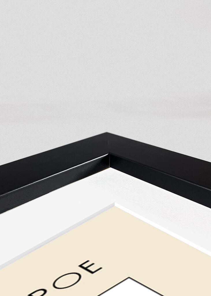 Digital Poe Portrait