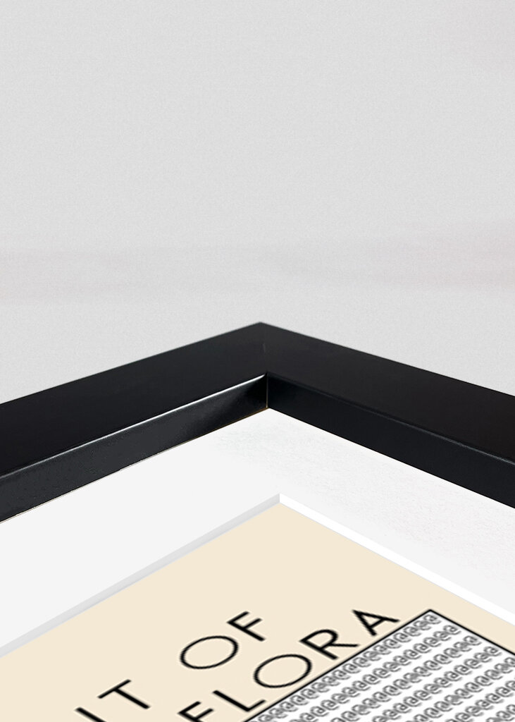 Ascii Art Minimalist – Idealised Portrait of a Young Woman As Flora   Bartolomeo Veneto