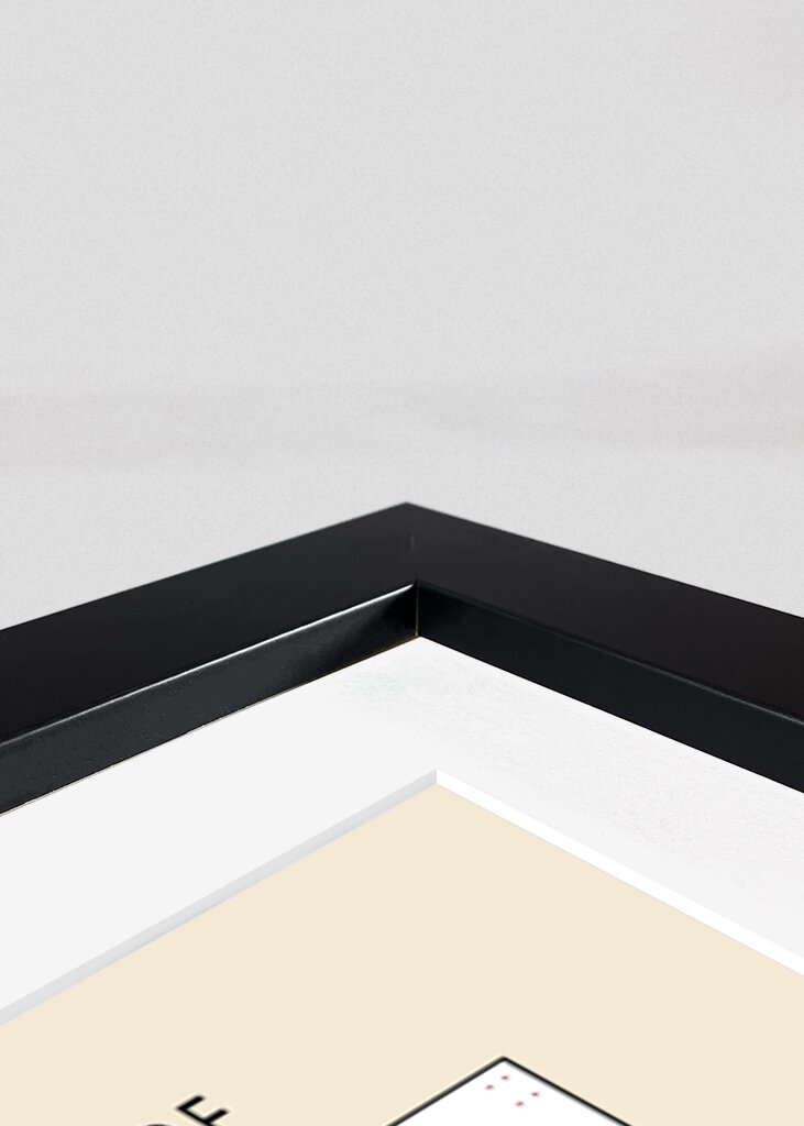 Ascii Art Minimalist – La Belle Ferronnière (portrait of a Lady From the Court of Milan)