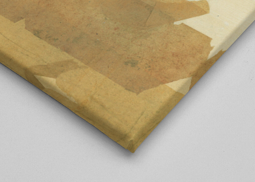 Elegant Portrait of a Woman