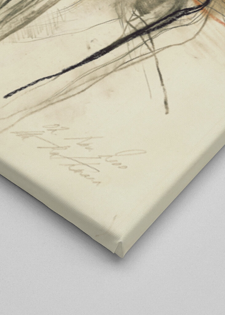 Impression Of Movement And Emotion