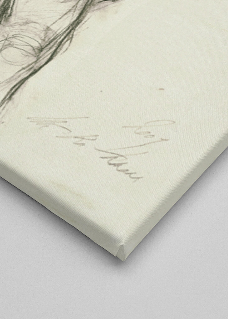 Nude Figure Silhouette