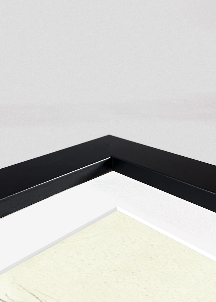 Nude Figure Silhouette