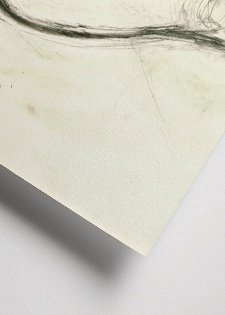 Nude Figure Silhouette