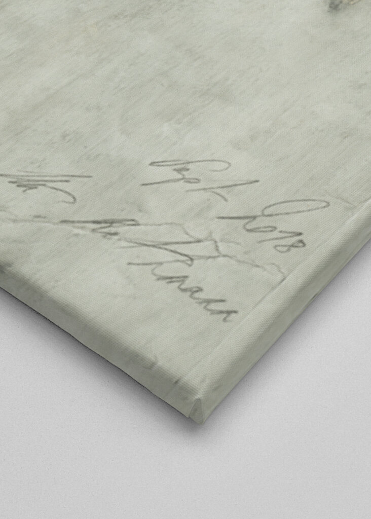 Elegant Woman Portrait with Intricate Dress