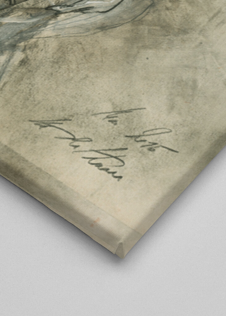 Woman Portrait with Curly Hair