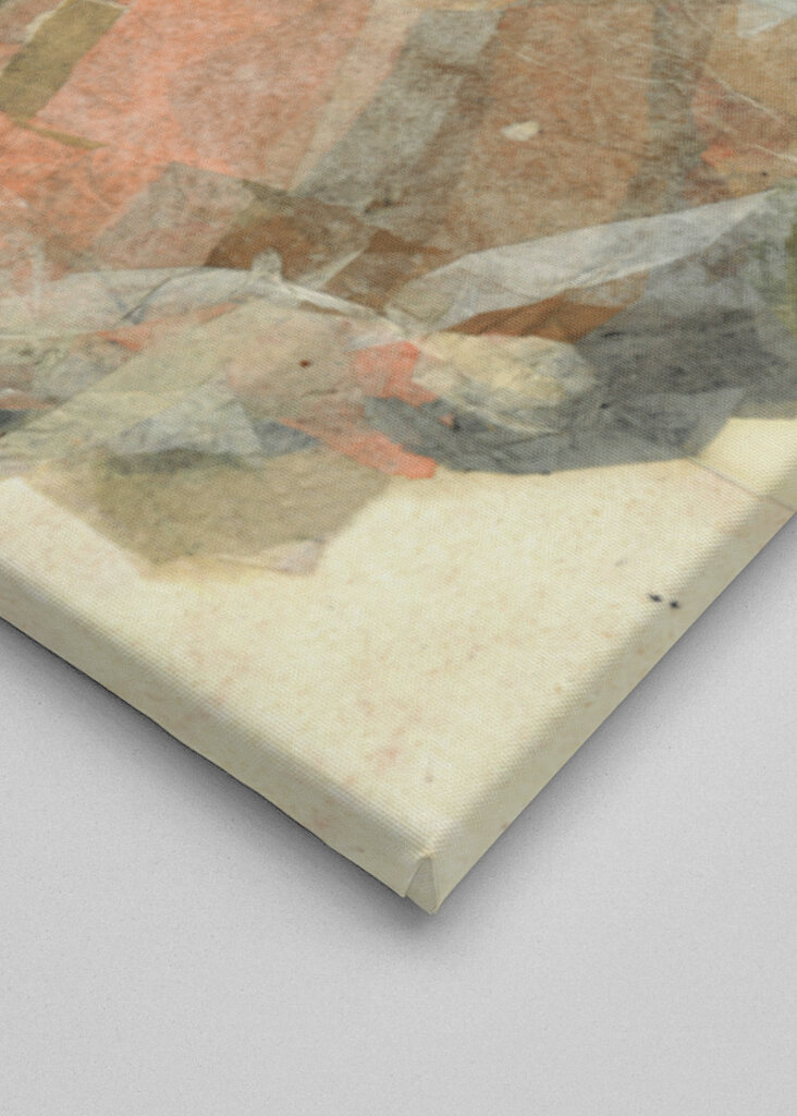 Dreamy Contemplation