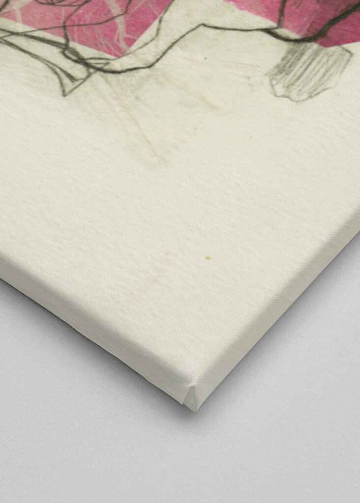 Pink Elegance with Woman Portrait