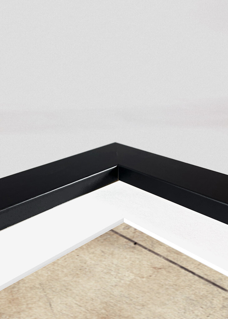 Vintage Insect Sketch