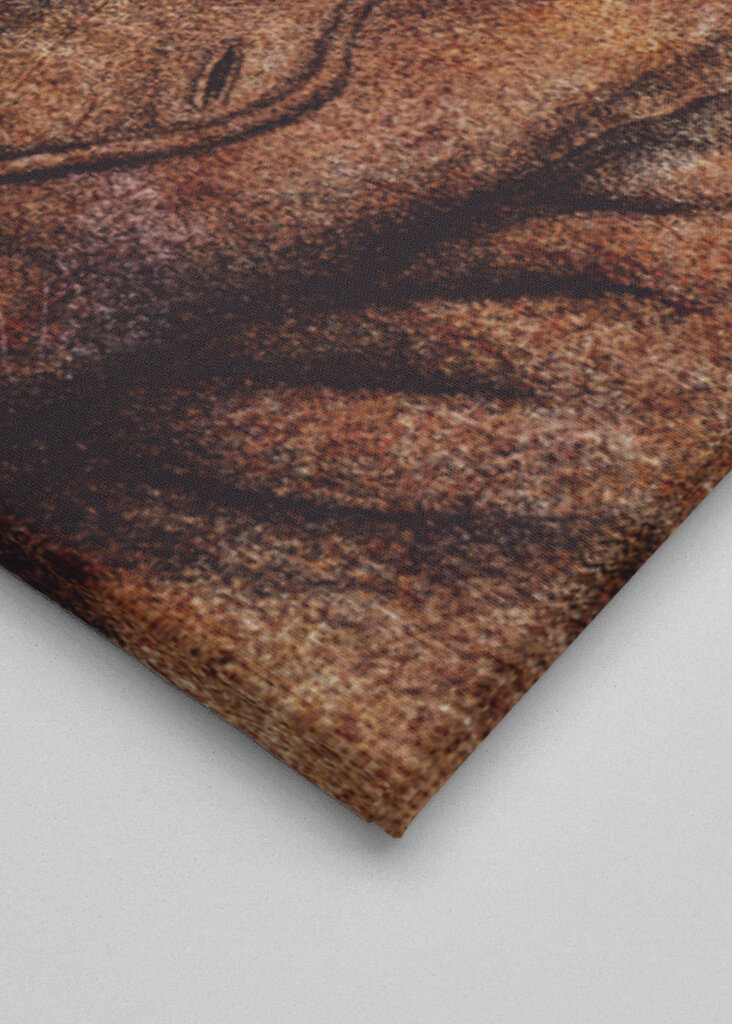 Pigeon Dressed In Vintage Attire