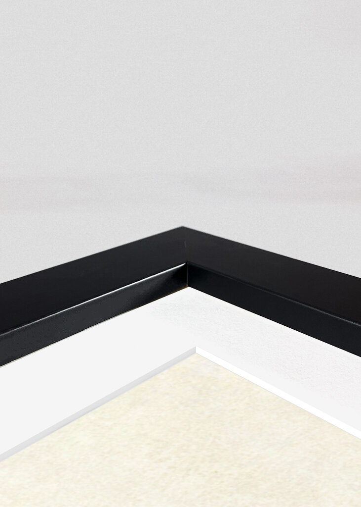 Pigeon Dressed In Vintage Attire