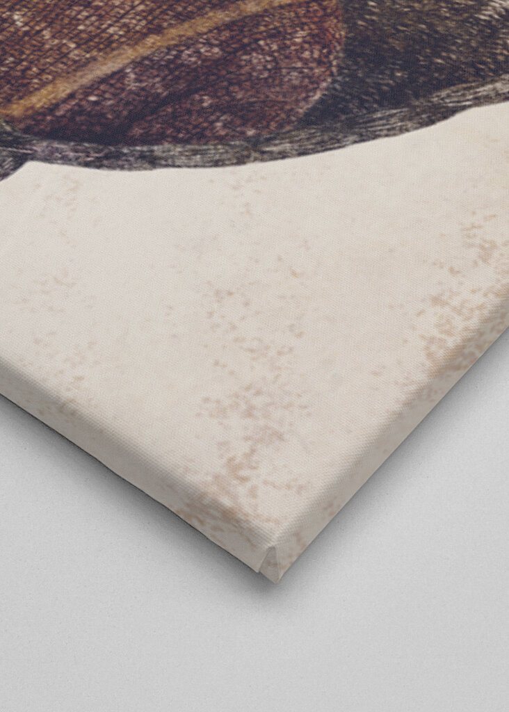 Deer Dressed In Cozy Attire