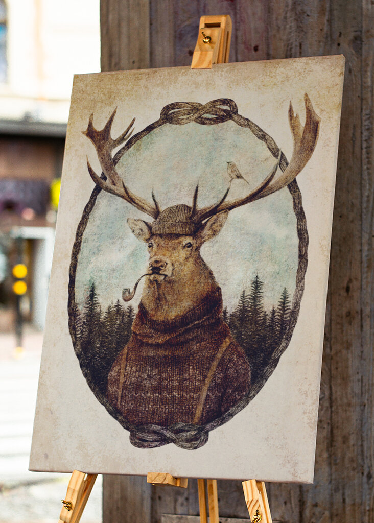 Deer Dressed In Cozy Attire