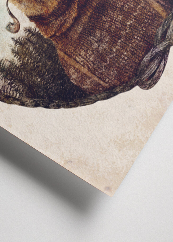 Deer Dressed In Cozy Attire