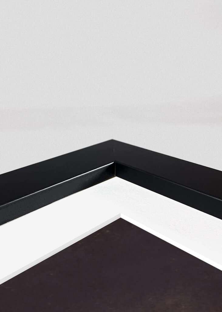 Der Graf des Wunderlandes