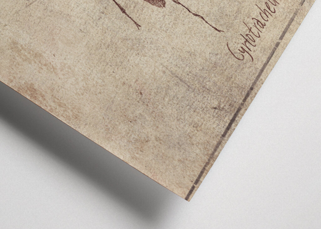 Vintage Style And Sepia Tones