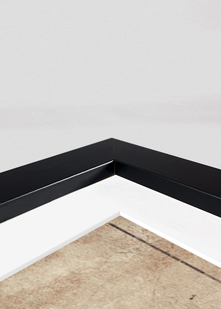 Phyllium Siccifolium Copy